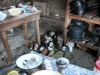 Furry friends in the kitchen at the home stay